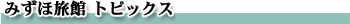 �݂��ٗ��كg�s�b�N�X