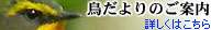鳥だよりのご案内