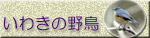 いわきの野鳥